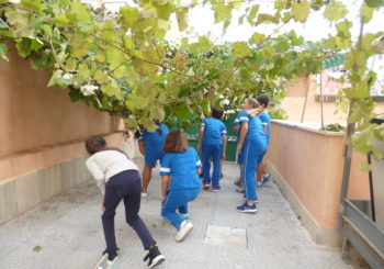 LA   VENDEMMIA